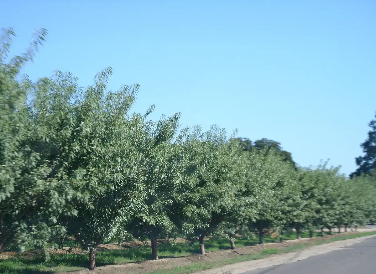 Home services area - Valley farmland at the city edge