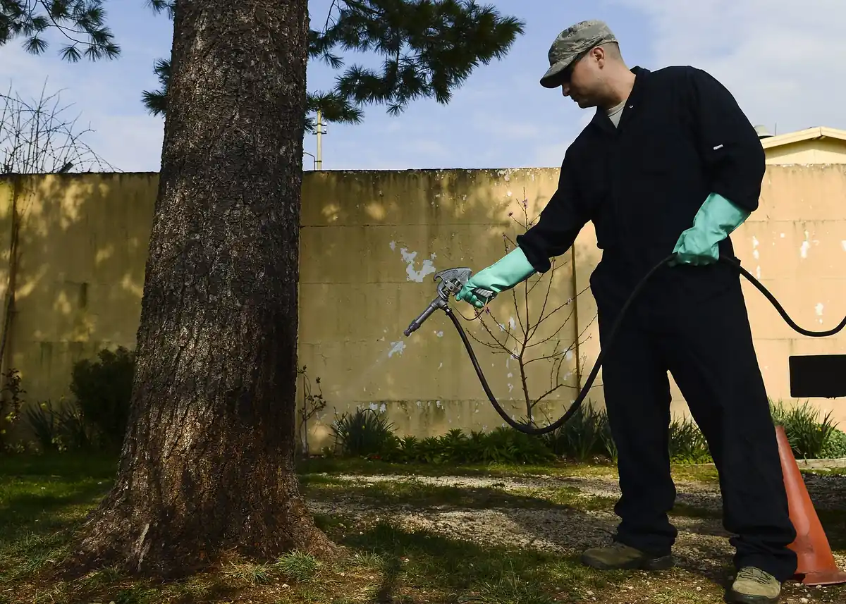 Pest Control in Bakersfield